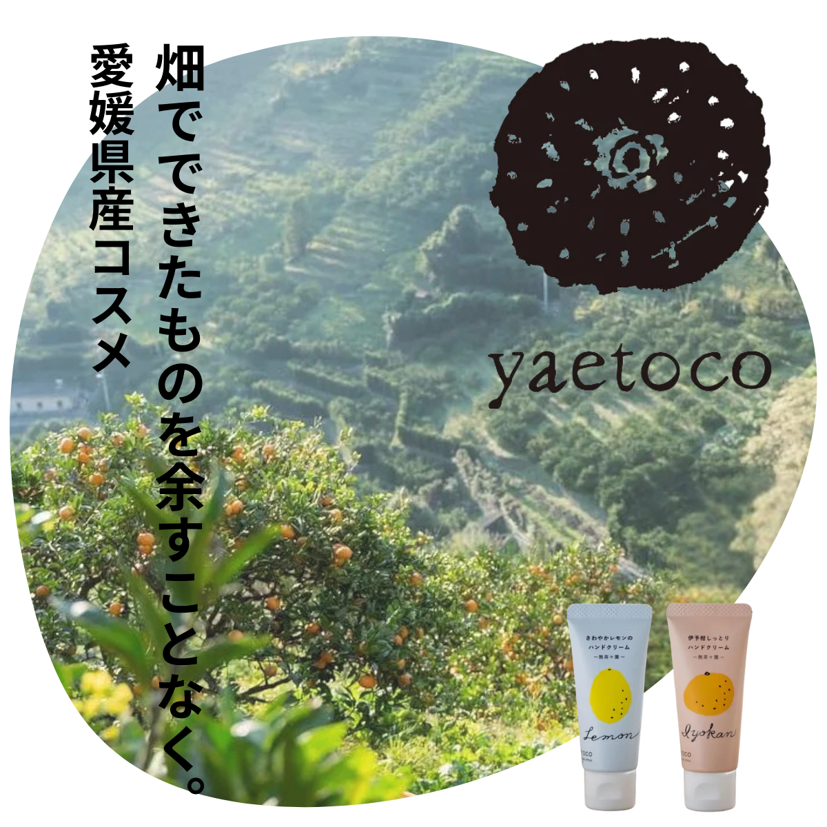 yaetoco愛媛産コスメ