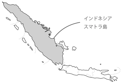 インドネシアのマンデリンコーヒー150g