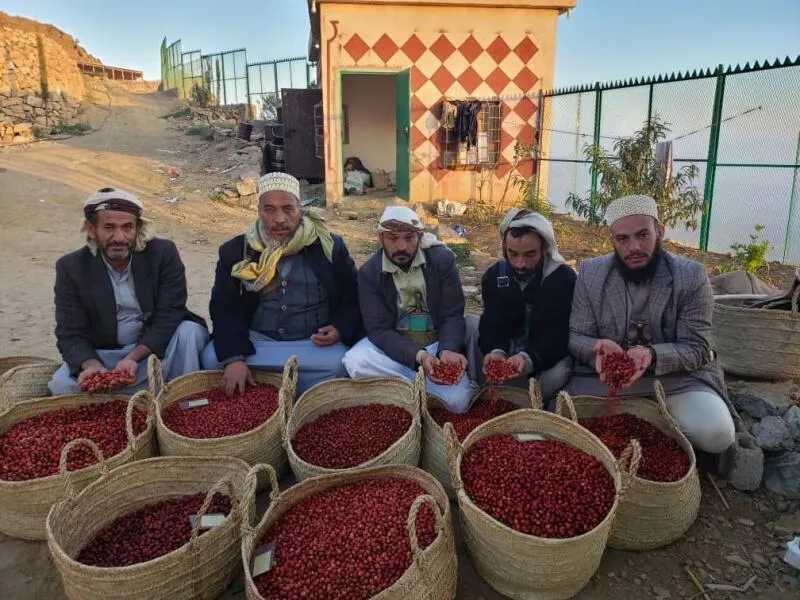 イエメン モカ 太陽のコーヒー 150g
