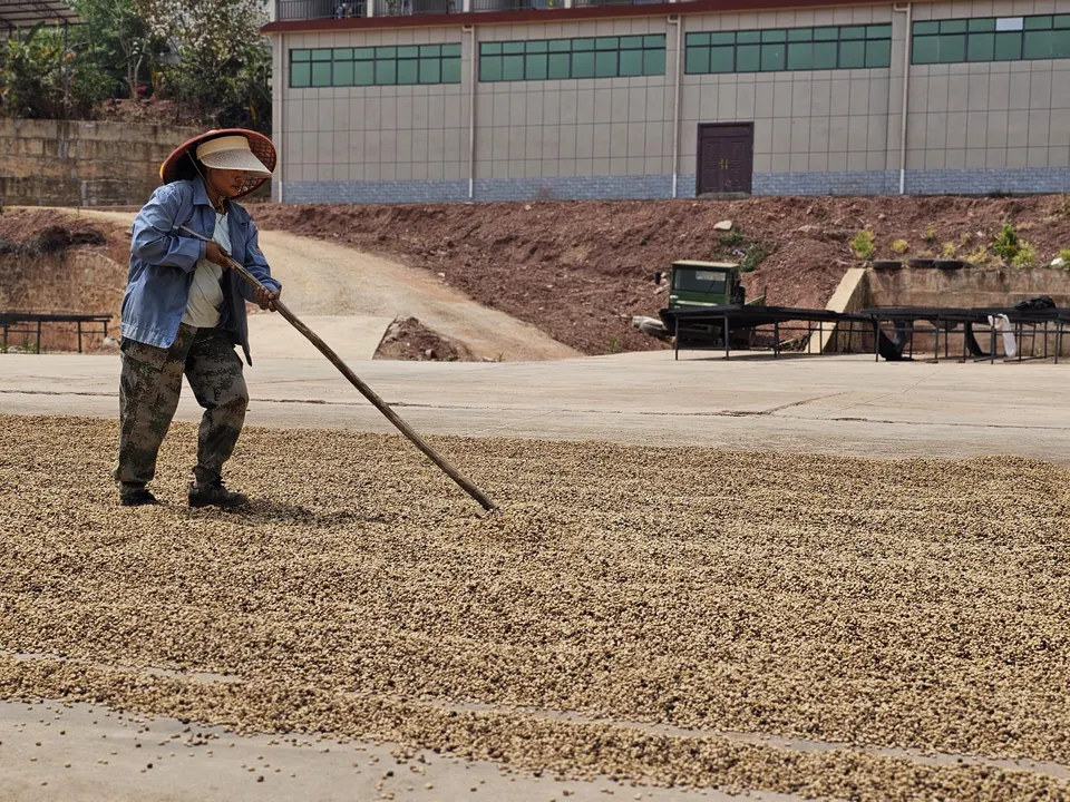雲南の桃源郷コーヒー 150g