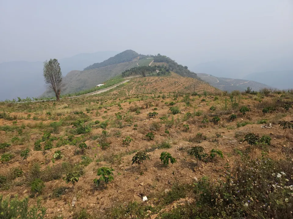 雲南の桃源郷コーヒー 150g
